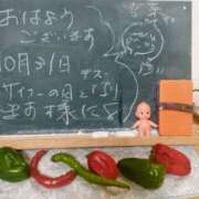 ヒメ日記 2025/10/31 09:00 投稿 佐々岡雪菜 五十路マダムエクスプレス横浜店（カサブランカグループ）