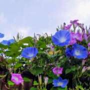 ヒメ日記 2025/11/04 11:48 投稿 佐々岡雪菜 五十路マダムエクスプレス横浜店（カサブランカグループ）