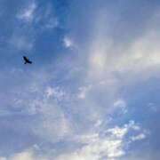 ヒメ日記 2025/11/07 15:52 投稿 佐々岡雪菜 五十路マダムエクスプレス横浜店（カサブランカグループ）