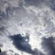 ヒメ日記 2025/11/11 10:30 投稿 佐々岡雪菜 五十路マダムエクスプレス横浜店（カサブランカグループ）