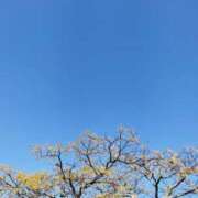 ヒメ日記 2025/11/22 20:54 投稿 佐々岡雪菜 五十路マダムエクスプレス横浜店（カサブランカグループ）