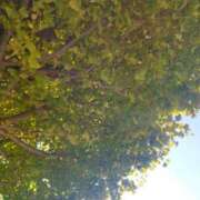 ヒメ日記 2025/11/26 09:50 投稿 佐々岡雪菜 五十路マダムエクスプレス横浜店（カサブランカグループ）