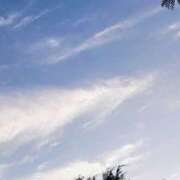 ヒメ日記 2025/11/26 16:50 投稿 佐々岡雪菜 五十路マダムエクスプレス横浜店（カサブランカグループ）