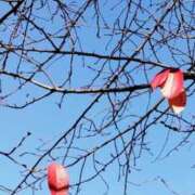 ヒメ日記 2025/11/28 17:50 投稿 佐々岡雪菜 五十路マダムエクスプレス横浜店（カサブランカグループ）