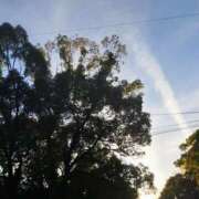 ヒメ日記 2025/12/01 16:14 投稿 佐々岡雪菜 五十路マダムエクスプレス横浜店（カサブランカグループ）