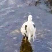 ヒメ日記 2025/12/03 09:16 投稿 佐々岡雪菜 五十路マダムエクスプレス横浜店（カサブランカグループ）