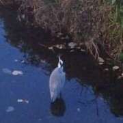 ヒメ日記 2025/12/07 19:30 投稿 佐々岡雪菜 五十路マダムエクスプレス横浜店（カサブランカグループ）