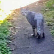 ヒメ日記 2025/12/08 22:22 投稿 佐々岡雪菜 五十路マダムエクスプレス横浜店（カサブランカグループ）