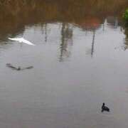 ヒメ日記 2025/12/15 08:34 投稿 佐々岡雪菜 五十路マダムエクスプレス横浜店（カサブランカグループ）