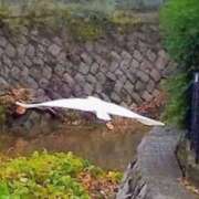 ヒメ日記 2025/12/16 16:12 投稿 佐々岡雪菜 五十路マダムエクスプレス横浜店（カサブランカグループ）