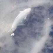 ヒメ日記 2025/12/23 19:38 投稿 佐々岡雪菜 五十路マダムエクスプレス横浜店（カサブランカグループ）