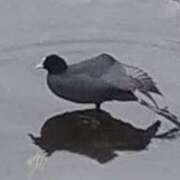 ヒメ日記 2025/12/29 11:42 投稿 佐々岡雪菜 五十路マダムエクスプレス横浜店（カサブランカグループ）