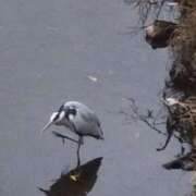 ヒメ日記 2025/12/29 21:26 投稿 佐々岡雪菜 五十路マダムエクスプレス横浜店（カサブランカグループ）