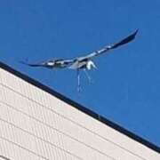 ヒメ日記 2026/01/02 09:20 投稿 佐々岡雪菜 五十路マダムエクスプレス横浜店（カサブランカグループ）