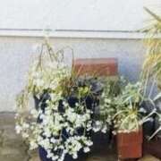 ヒメ日記 2026/01/12 20:42 投稿 佐々岡雪菜 五十路マダムエクスプレス横浜店（カサブランカグループ）