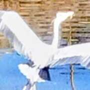 ヒメ日記 2026/01/23 07:48 投稿 佐々岡雪菜 五十路マダムエクスプレス横浜店（カサブランカグループ）