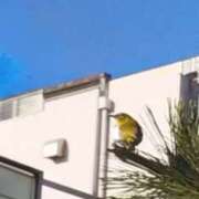 ヒメ日記 2026/02/01 22:30 投稿 佐々岡雪菜 五十路マダムエクスプレス横浜店（カサブランカグループ）