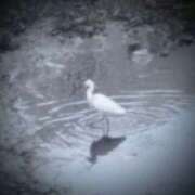 ヒメ日記 2026/02/07 19:22 投稿 佐々岡雪菜 五十路マダムエクスプレス横浜店（カサブランカグループ）