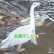 ヒメ日記 2026/02/14 19:44 投稿 佐々岡雪菜 五十路マダムエクスプレス横浜店（カサブランカグループ）