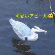 ヒメ日記 2026/02/15 20:04 投稿 佐々岡雪菜 五十路マダムエクスプレス横浜店（カサブランカグループ）