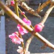 ヒメ日記 2026/02/16 06:56 投稿 佐々岡雪菜 五十路マダムエクスプレス横浜店（カサブランカグループ）