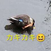 ヒメ日記 2026/02/17 20:40 投稿 佐々岡雪菜 五十路マダムエクスプレス横浜店（カサブランカグループ）