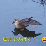 ヒメ日記 2026/02/20 07:58 投稿 佐々岡雪菜 五十路マダムエクスプレス横浜店（カサブランカグループ）