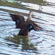 ヒメ日記 2026/02/27 16:10 投稿 佐々岡雪菜 五十路マダムエクスプレス横浜店（カサブランカグループ）