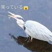 ヒメ日記 2026/02/28 07:58 投稿 佐々岡雪菜 五十路マダムエクスプレス横浜店（カサブランカグループ）