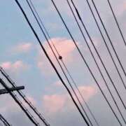 ヒメ日記 2026/05/14 19:14 投稿 佐々岡雪菜 五十路マダムエクスプレス横浜店（カサブランカグループ）