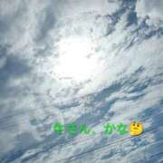 ヒメ日記 2026/06/01 21:12 投稿 佐々岡雪菜 五十路マダムエクスプレス横浜店（カサブランカグループ）
