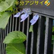 ヒメ日記 2026/06/05 22:52 投稿 佐々岡雪菜 五十路マダムエクスプレス横浜店（カサブランカグループ）
