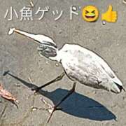 ヒメ日記 2026/06/13 08:26 投稿 佐々岡雪菜 五十路マダムエクスプレス横浜店（カサブランカグループ）