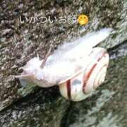 ヒメ日記 2026/06/27 09:36 投稿 佐々岡雪菜 五十路マダムエクスプレス横浜店（カサブランカグループ）