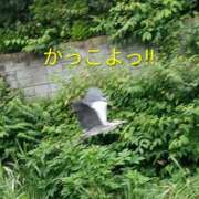 ヒメ日記 2026/07/06 15:46 投稿 佐々岡雪菜 五十路マダムエクスプレス横浜店（カサブランカグループ）