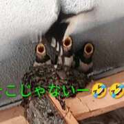 ヒメ日記 2026/07/09 22:28 投稿 佐々岡雪菜 五十路マダムエクスプレス横浜店（カサブランカグループ）