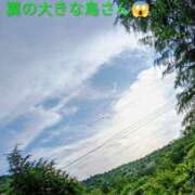 ヒメ日記 2026/07/11 20:30 投稿 佐々岡雪菜 五十路マダムエクスプレス横浜店（カサブランカグループ）