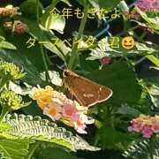 ヒメ日記 2026/07/14 09:30 投稿 佐々岡雪菜 五十路マダムエクスプレス横浜店（カサブランカグループ）