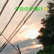 ヒメ日記 2026/07/15 19:30 投稿 佐々岡雪菜 五十路マダムエクスプレス横浜店（カサブランカグループ）