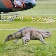 ヒメ日記 2026/08/04 16:00 投稿 佐々岡雪菜 五十路マダムエクスプレス横浜店（カサブランカグループ）