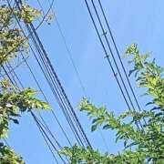 ヒメ日記 2026/08/08 15:20 投稿 佐々岡雪菜 五十路マダムエクスプレス横浜店（カサブランカグループ）