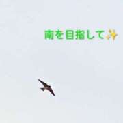 ヒメ日記 2026/08/17 17:04 投稿 佐々岡雪菜 五十路マダムエクスプレス横浜店（カサブランカグループ）