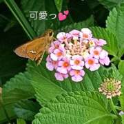 ヒメ日記 2026/08/24 16:32 投稿 佐々岡雪菜 五十路マダムエクスプレス横浜店（カサブランカグループ）