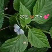ヒメ日記 2026/08/29 21:58 投稿 佐々岡雪菜 五十路マダムエクスプレス横浜店（カサブランカグループ）