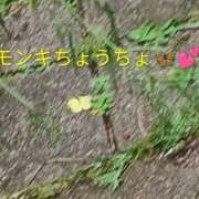 ヒメ日記 2026/09/01 14:04 投稿 佐々岡雪菜 五十路マダムエクスプレス横浜店（カサブランカグループ）