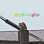 ヒメ日記 2026/09/12 17:04 投稿 佐々岡雪菜 五十路マダムエクスプレス横浜店（カサブランカグループ）