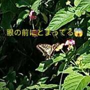 ヒメ日記 2026/09/14 22:08 投稿 佐々岡雪菜 五十路マダムエクスプレス横浜店（カサブランカグループ）