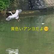 ヒメ日記 2026/09/17 12:56 投稿 佐々岡雪菜 五十路マダムエクスプレス横浜店（カサブランカグループ）