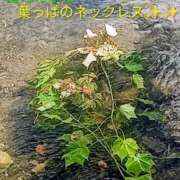 ヒメ日記 2026/09/18 15:22 投稿 佐々岡雪菜 五十路マダムエクスプレス横浜店（カサブランカグループ）