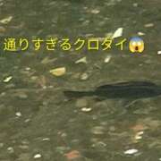 ヒメ日記 2026/09/19 18:54 投稿 佐々岡雪菜 五十路マダムエクスプレス横浜店（カサブランカグループ）